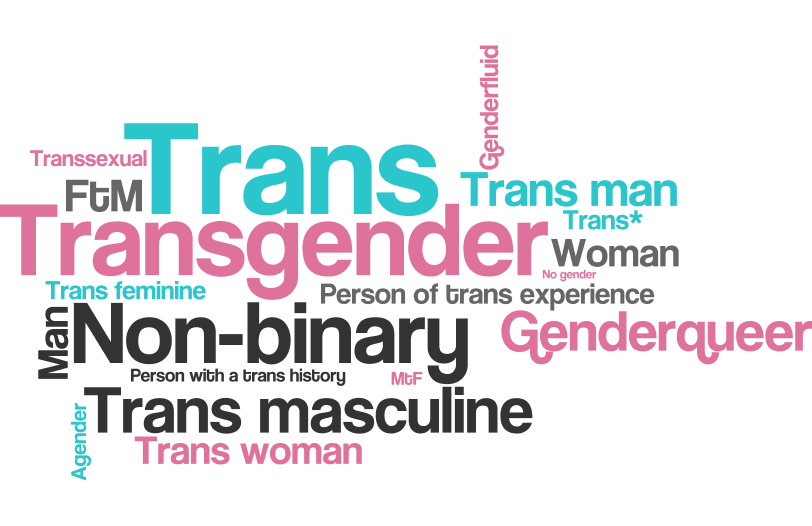 TransEDU - Identity Terms